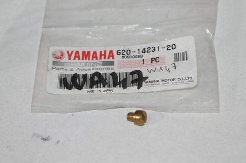 Gicleur 100 pour yamaha - pour,